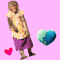 Have A Nice Day Fun GIF