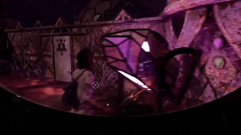 aleksandradaniel giphyupload GIF