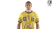 Handball-Bundesliga Sport GIF by LIQUI MOLY HBL