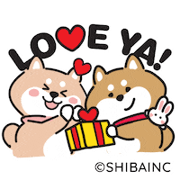 Fun Love Sticker by SHIBAINC