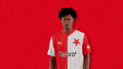 Football Soccer GIF by SK Slavia Praha