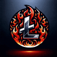 Fire Crypto GIF by Litecoin