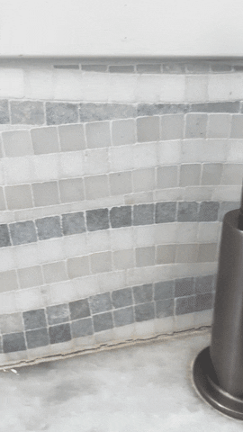 thetileclub giphyupload GIF