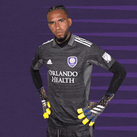 Major League Soccer Sport GIF by Orlando City SC