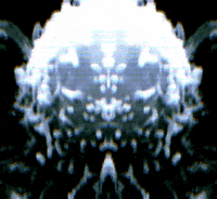 GIF by Leo Pyrata