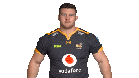 Rugby Sticker by Wasps