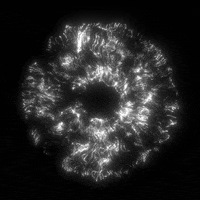 Glow Black And White GIF by xponentialdesign
