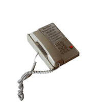 Sydney Sprague Sticker by Rude Records