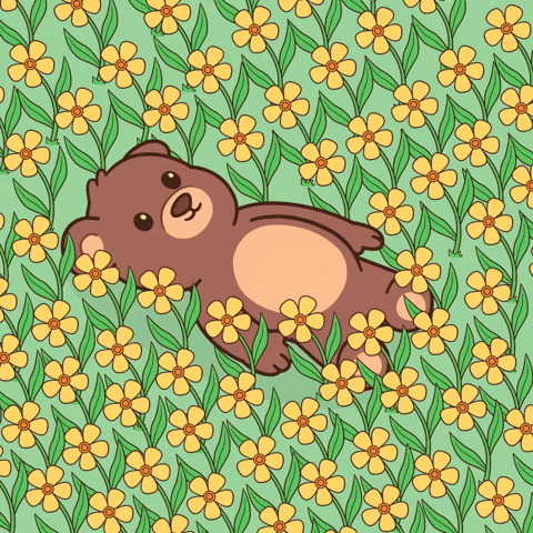 GIF by BEARISH