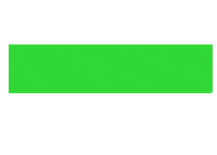 Miami Dolphins Sticker by The Brickell Scoop