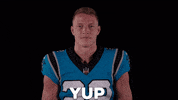 Happy National Football League GIF by Carolina Panthers
