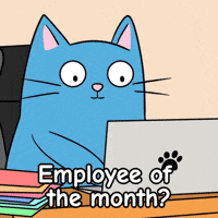 Working Hard Blue Cat GIF