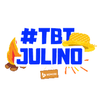 Festajunina Sticker by Bemobi