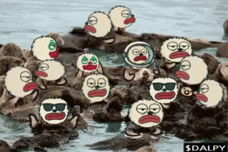 ZoomerFuel giphyupload relax solana otter GIF