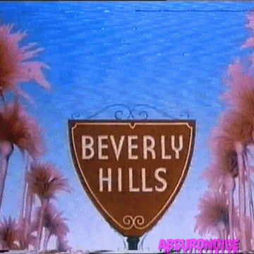 down and out in beverly hills vhs GIF by absurdnoise