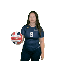 Womens Volleyball Sticker by Clarke University