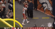 2018 Nfl Football GIF by NFL