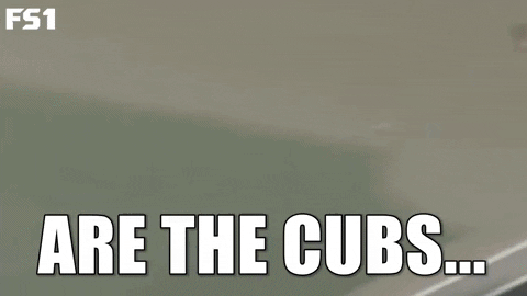 black cat baseball GIF by FOX Sports: Watch. Enjoy. Repeat.