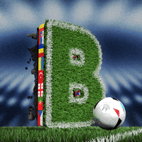 Football Soccer GIF by Kochstrasse™