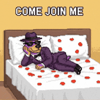 Dog Love GIF by SkyDog Social