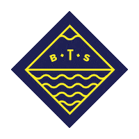 Bts Sticker by Beyond the Standard