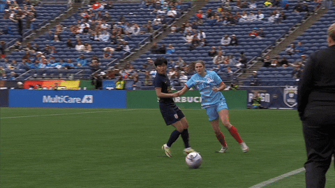Womens Soccer Throw Ball GIF by National Women's Soccer League