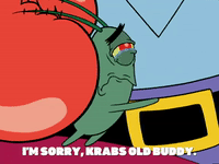 season 5 GIF by SpongeBob SquarePants