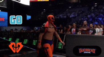 Wwe Vamos GIF by Guerrero Maya