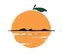 Orange Juice Art Sticker by Sam Omo