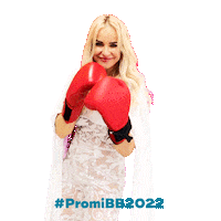 Promibigbrother Sticker by sat1