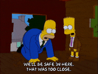 homer simpson GIF