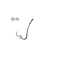 mithattopal nose doktor estetik kbb Sticker