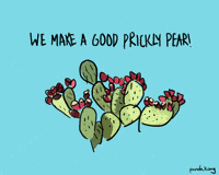 PandaKongArt cactus pun puns punny GIF