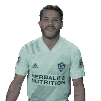 Celebrate Lets Go Sticker by Major League Soccer