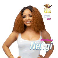 Bbnaija Sticker by Big Brother Naija