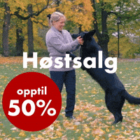 Petenmail GIF by Vetzoo