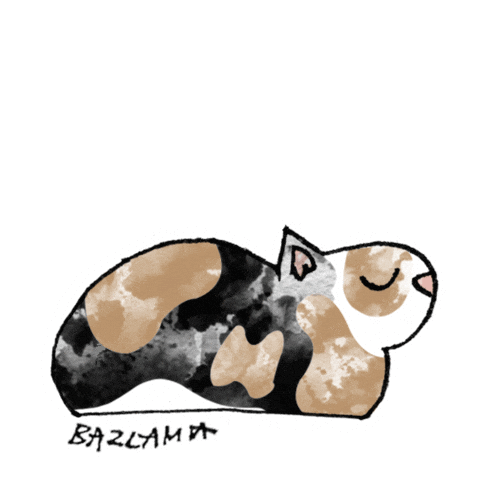 Cat Sleeping Sticker by ÇeşmeBazlamaKahvaltı