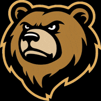 Bear Oso GIF