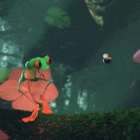 jeremyschaefer animation fly death frog GIF