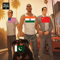Indian Cricket India GIF
