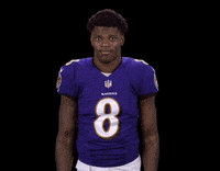 Baltimore Ravens Football GIF by NFL