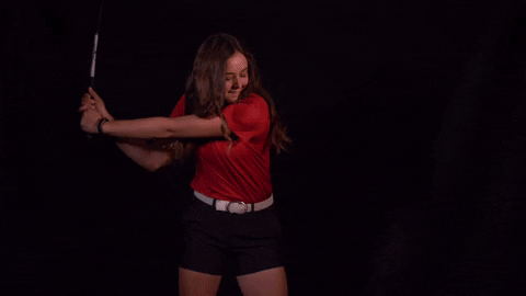 Jillsafranski GIF by MSUM Dragons
