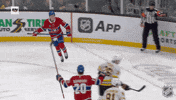 Happy Montreal Canadiens GIF by NHL