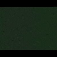 Rrr GIF by tdangerofficial