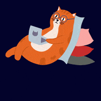 Work From Home Cat GIF by Siemens
