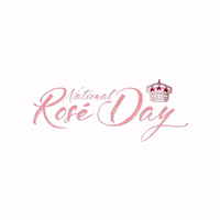 Roseallday Bodvar GIF by Bodvár - House of Rosés