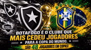 Bfr Alvinegro GIF