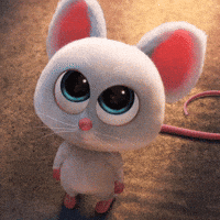 Little Mouse Baby GIF