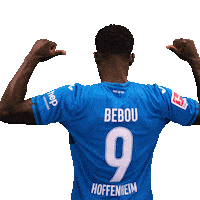 Ihlas Bebou Sport Sticker by TSG Hoffenheim