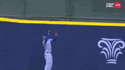 Major League Baseball Sport GIF by MLB